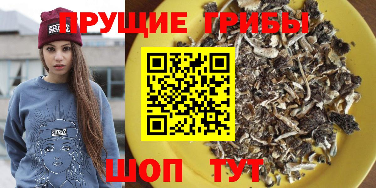 Галлюциногенные грибы прущие грибы Красногорск