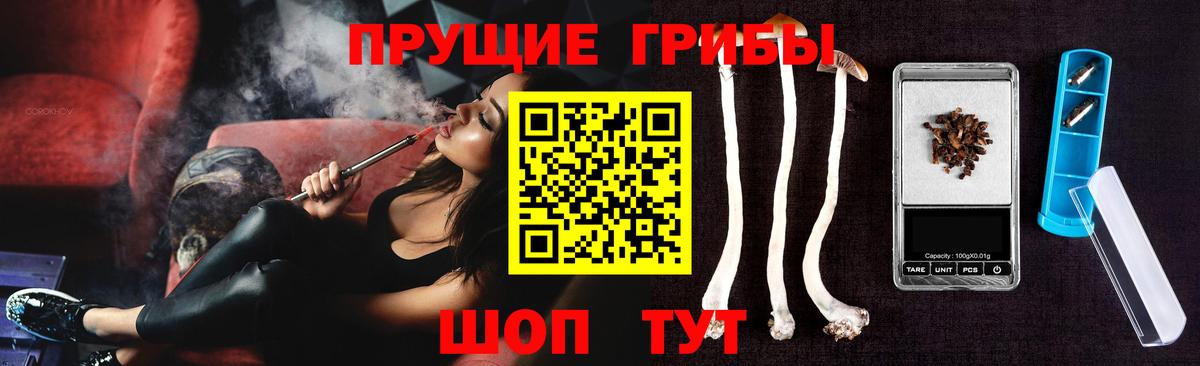 Красногорск  Псилоцибиновые грибы прущие грибы  Вход с VPN 